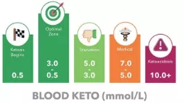 LCD Display Electronic Medical Equipment Digital Ketone Meter Medical Device