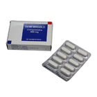 Pharmaceutical Oral Medications Lipid Regulating Agent Gemfibrozil 600 Mg Tablet