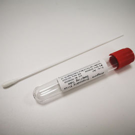 PE VTM Sampling Swab Disposable Laboratory Supplies