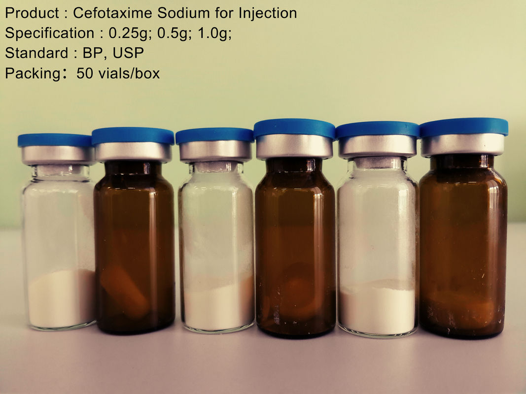 0.25g - 1.0g Cephalosporin Antibiotic / Cefotaxime Sodium for Injection
