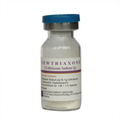 Sterile Semisynthetic Dry Powder Injection Ceftriaxone Sodium for Injection