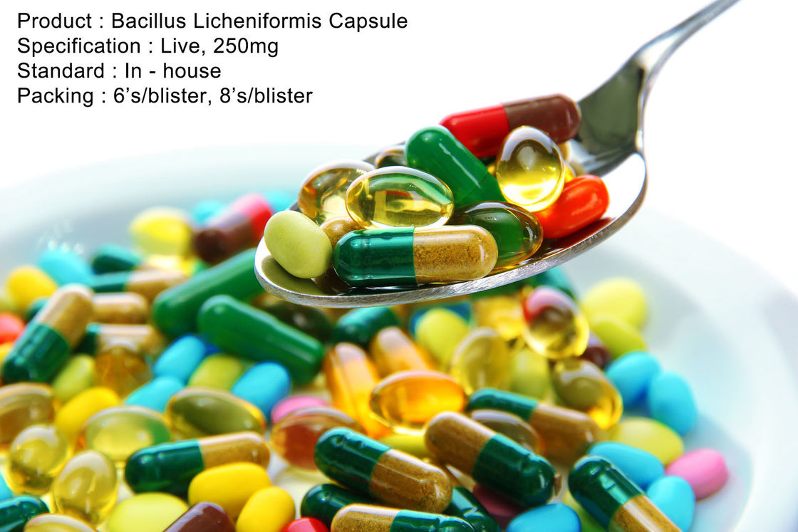 Bacillus Licheniformis Capsule Live, 250mg Oral Medications